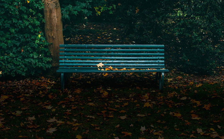 Strangers In The Park