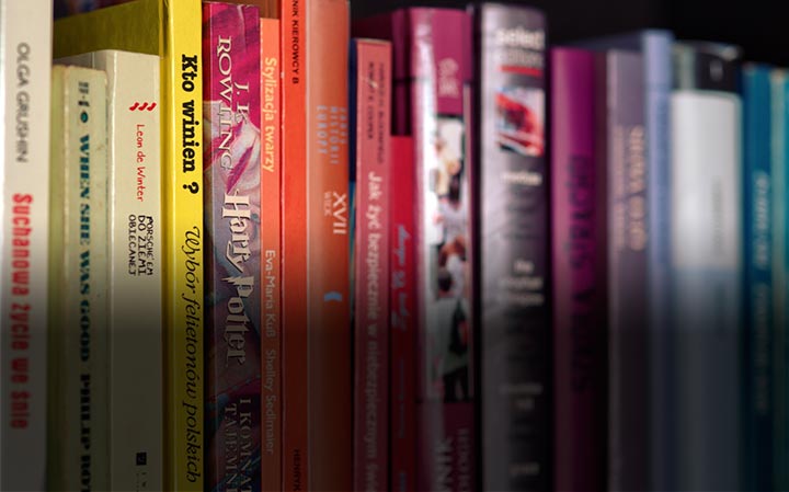 The School Protester