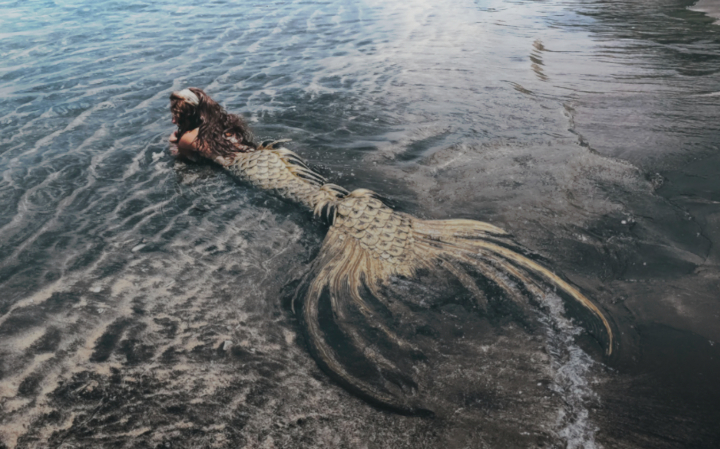 Encontro com uma sereia